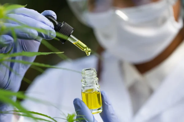 Close up of scientist looking at bottle of medical cannabis oil