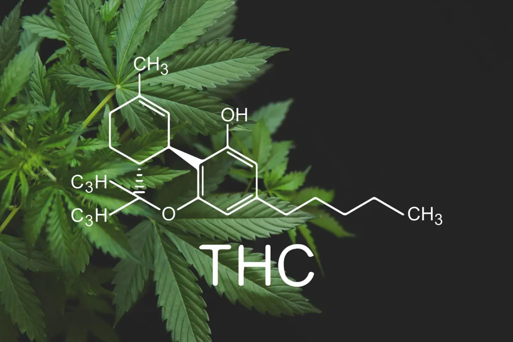 Tetrahydrocannabinol (THC) | Curaleaf Clinic