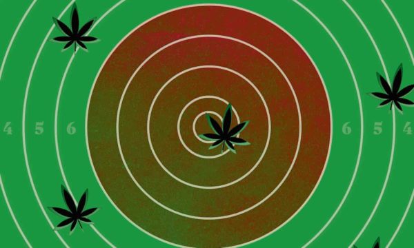 The Guardians ‘New Review’ in The Observer features Sapphire’s patient registry and prescribing outcomes