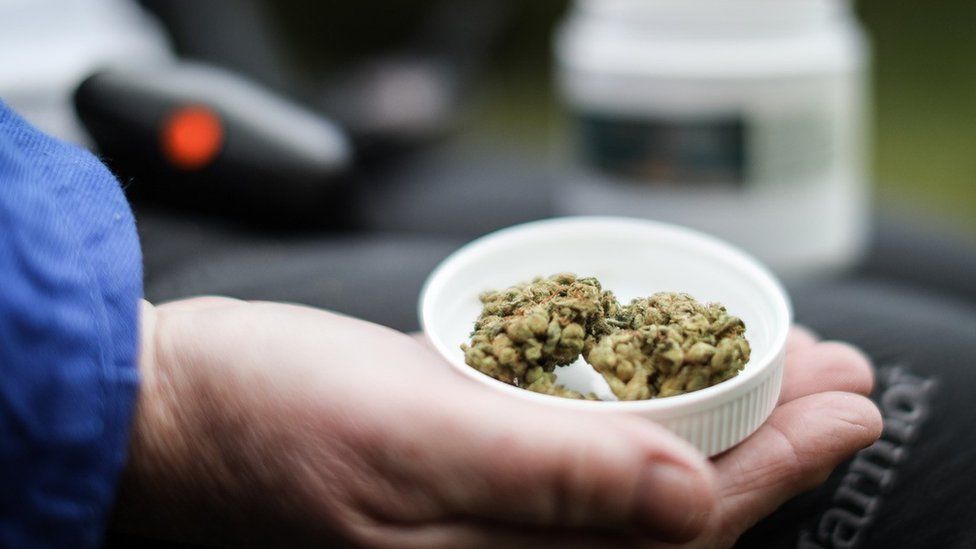 Medical Cannabis: Understanding the Evidence